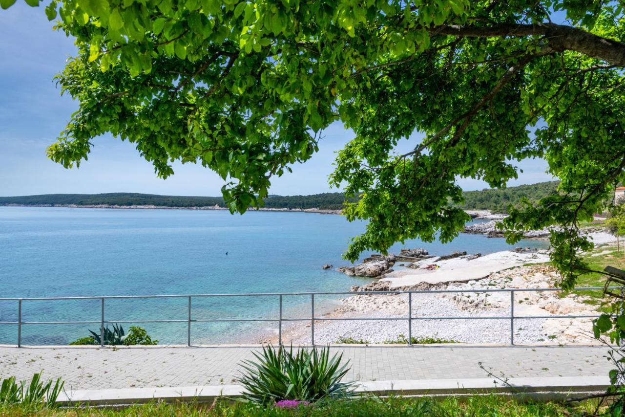 Apartment Dobric Koromačno 外观 照片