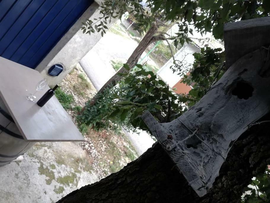 Apartment Dobric Koromačno 外观 照片